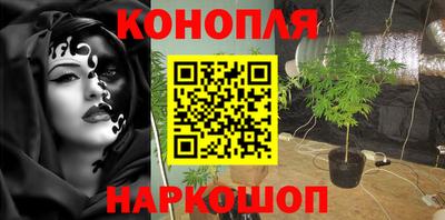 сатива Мариинск